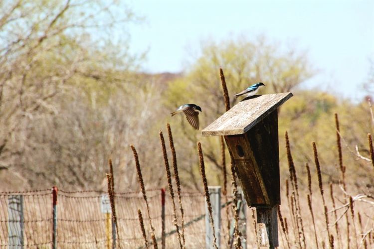 Cottage Grove, WI Homes for Sale and Realtors