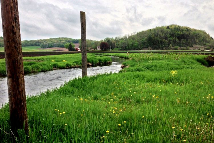 Cross Plains, Wisconsin Homes for Sale & Real Estate